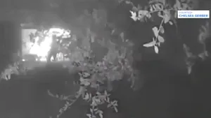 O gâscă a salvat o familie de la un incendiu devastator