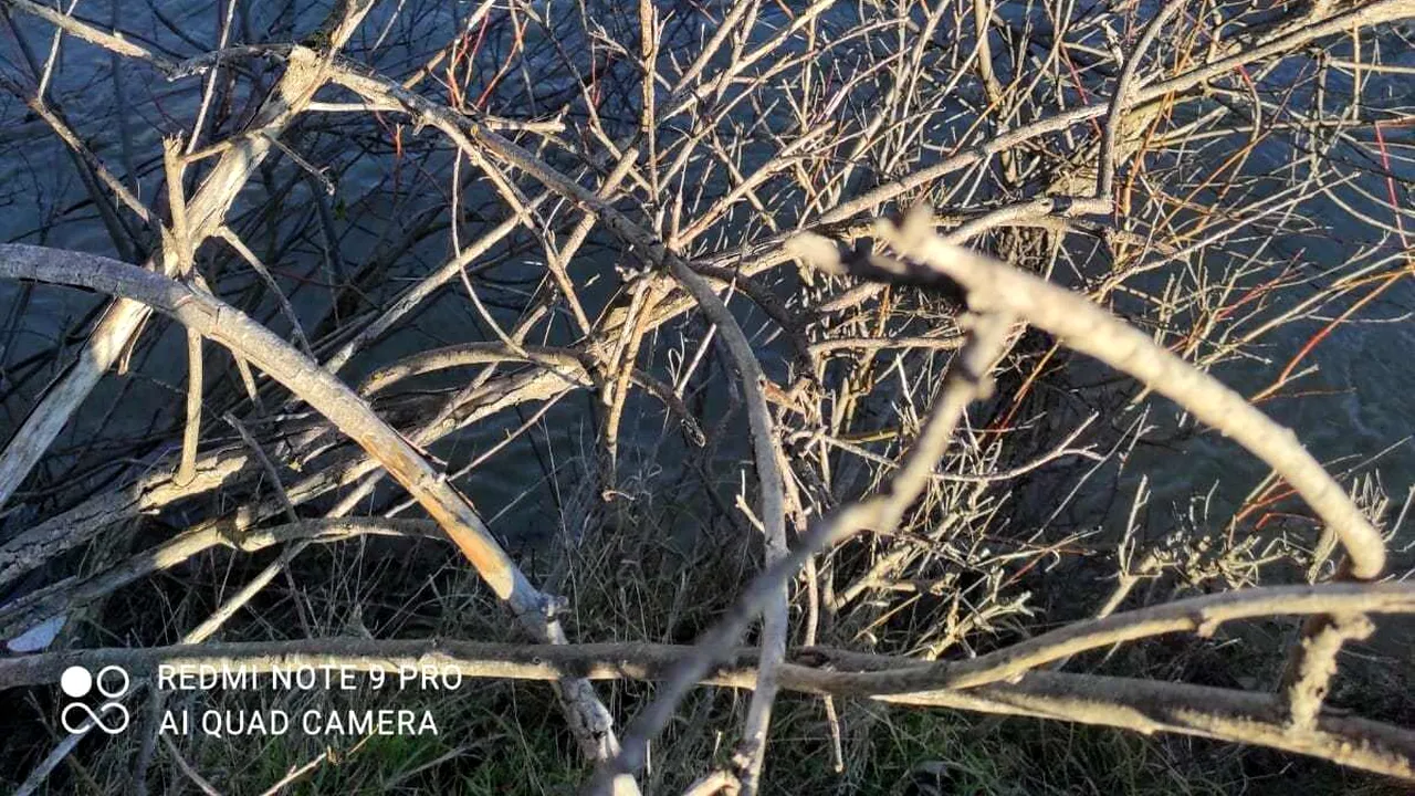 FOTO Maşină blocată în albia unui râu, în Vâlcea. Şoferul a fost salvat de pe capotă, în mijlocul apei