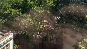 Incendiu de amploare într-o zonă comercială din Berlin