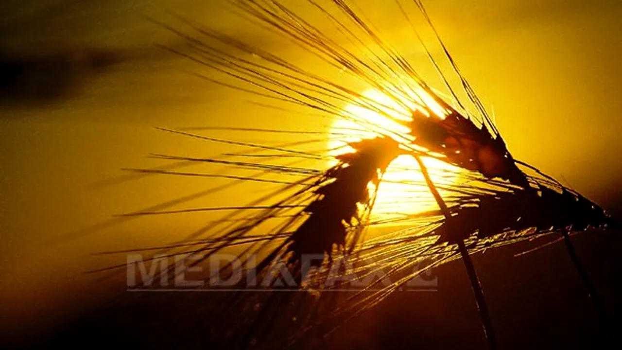 VREMEA va fi MAI CALDĂ decât în mod obişnuit. PROGNOZA METEO pentru miercuri şi joi, în ţară şi în Capitală