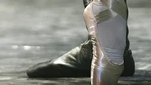 Spectacole ale Baletului Imperial Rus, în ianuarie, la Sala Palatului