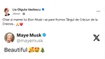 Mama lui Elon Musk, despre o postare cu Târgul de Crăciun din Craiova: Beautiful