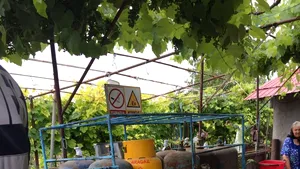 FOTO | Cinci persoane au fost rănite după ce mai multe butelii dintr-o gospodărie din Tulcea au explodat. Două dintre victime sunt internate la Galaţi, iar o persoană este transportată în Capitală