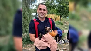 Pisică salvată de Ziua Pompierilor, după ce a dispărut două zile. Intervenția a durat aproape patru ore