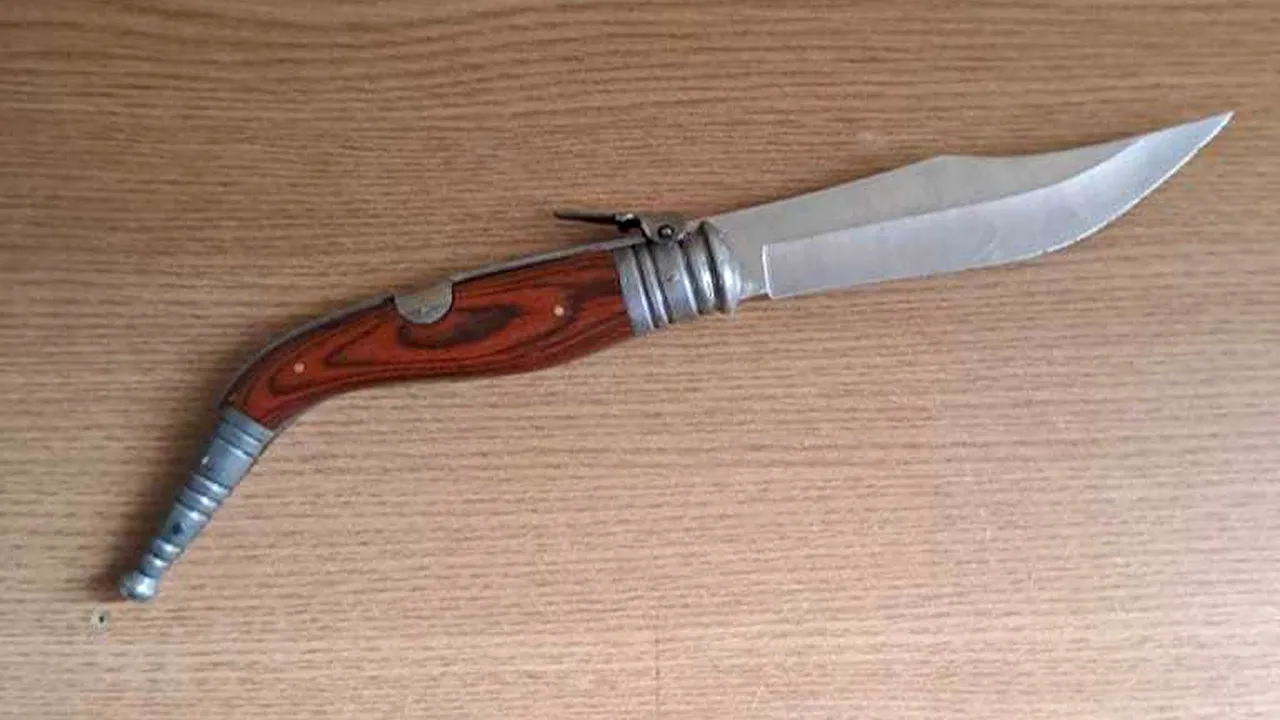 Un adolescent din Craiova a intrat cu un cuţit asupra sa în liceu