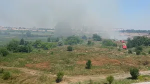 Un alt incendiu a izbucnit în Delta Văcăreşti / Incendiul a fost stins- FOTO/VIDEO