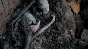 Mormânt din Epoca Bronzului, descoperit lângă Ploieşti