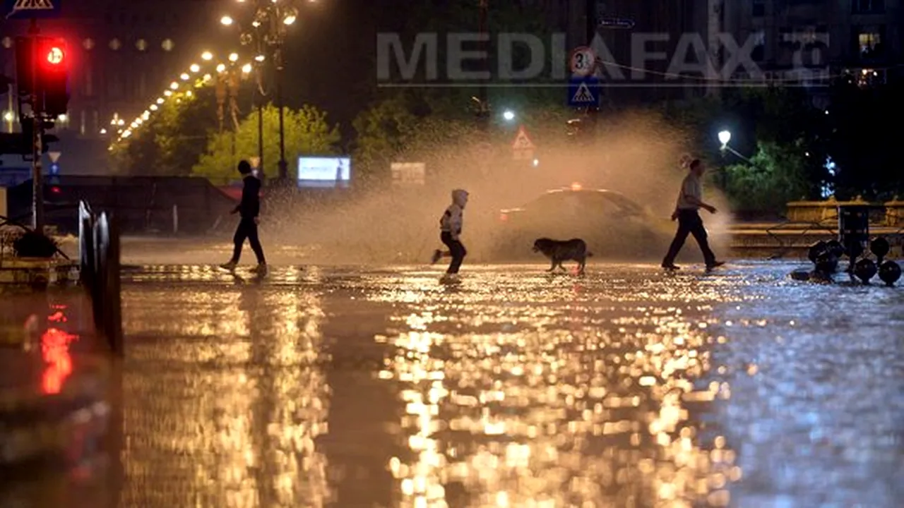 Cum a fost salvată o pisică speriată ce era cât pe ce să moară din cauza inundaţiilor