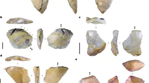 Descoperire importantă în Indonezia: Artefacte vechi de 1,5 milioane de ani, realizate de Homo Erectus