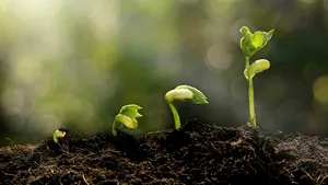 SGS, recunoscută din nou de către MSCI și FTSE4Good pentru performanța sa de top în domeniul ESG
