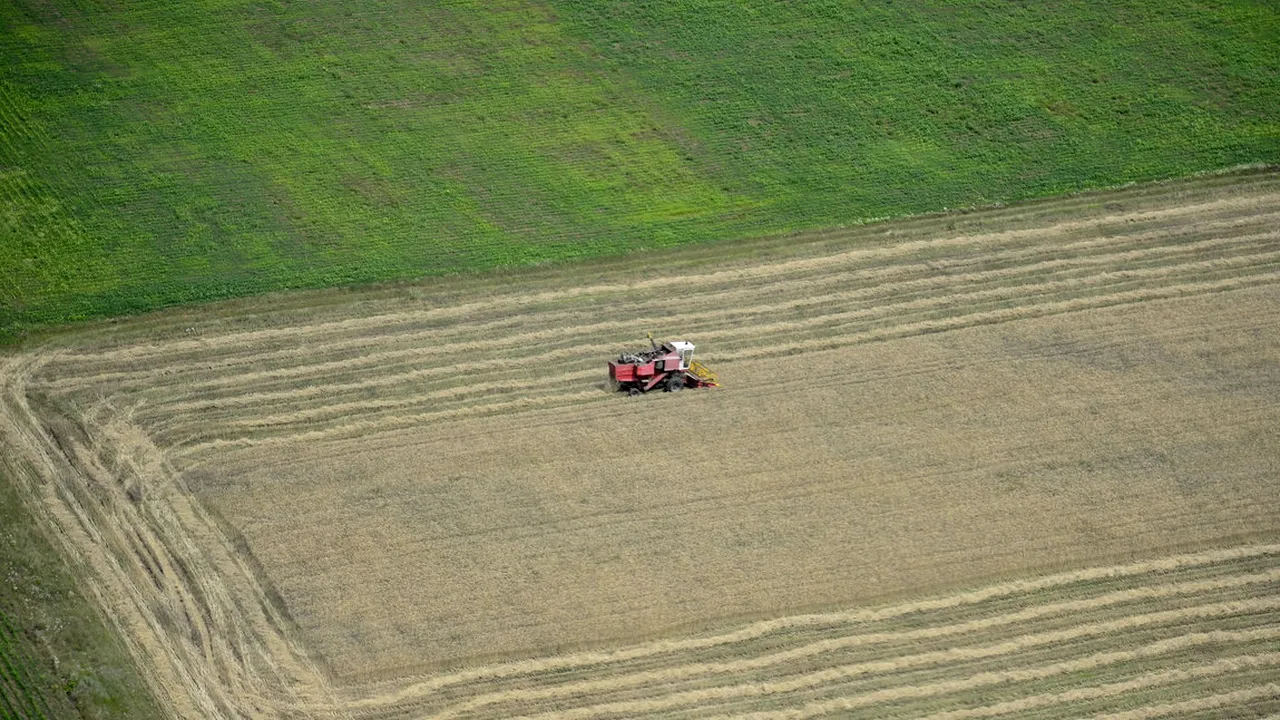 Primii 20 de proprietari de terenuri deţin 250.000 de hectare, adică 2,5% din suprafaţa arabilă a României. Cine sunt aceştia