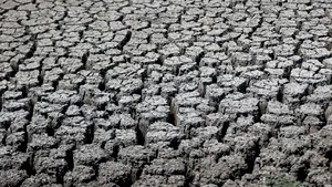 Peste 100 de milioane de oameni riscă foametea. Experții indică două cauze majore: El Niño și războiul din Iran