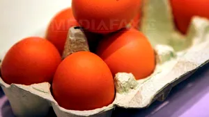 Ouăle se vor vinde la kilogram, nu la bucată în UE