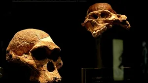 DESCOPERIREA care ar putea schimba ceea ce se ştia despre strămoşul omului - FOTO