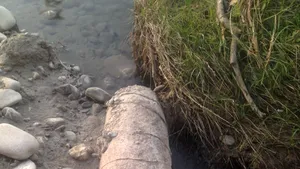 Cinci kilograme de explozibil, pentru fiecare din cele două obuze detonate lângă râul Prahova. Craterul format în urma exploziei are un diametru de 3 metri