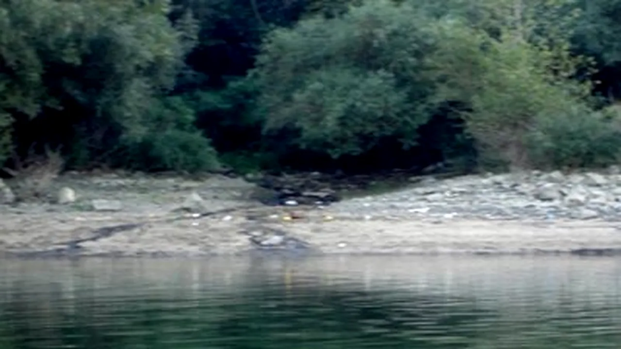 Oil Spill Found In Danube River, SW Romania