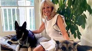 Câinele lui Joe Biden va deveni ”Primul Câine al ţării”, în cadrul ceremoniei InDOGuration