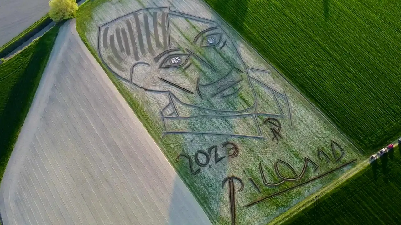 Imagine inedită. Un italian a creat cel mai mare portret Picasso din lume cu ajutorul unui tractor