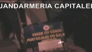 Două tone de materiale pirotehnice fără autorizaţie, confiscate - VIDEO