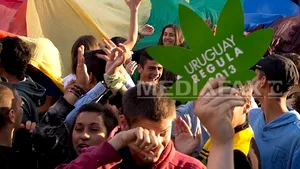Uruguay devine prima ţară din lume care legalizează producţia şi vânzarea canabisului
