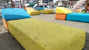 Invazie de buburuze la mare. Staţiunile în care turiştii scapă de insecte doar în apa mării FOTO, VIDEO