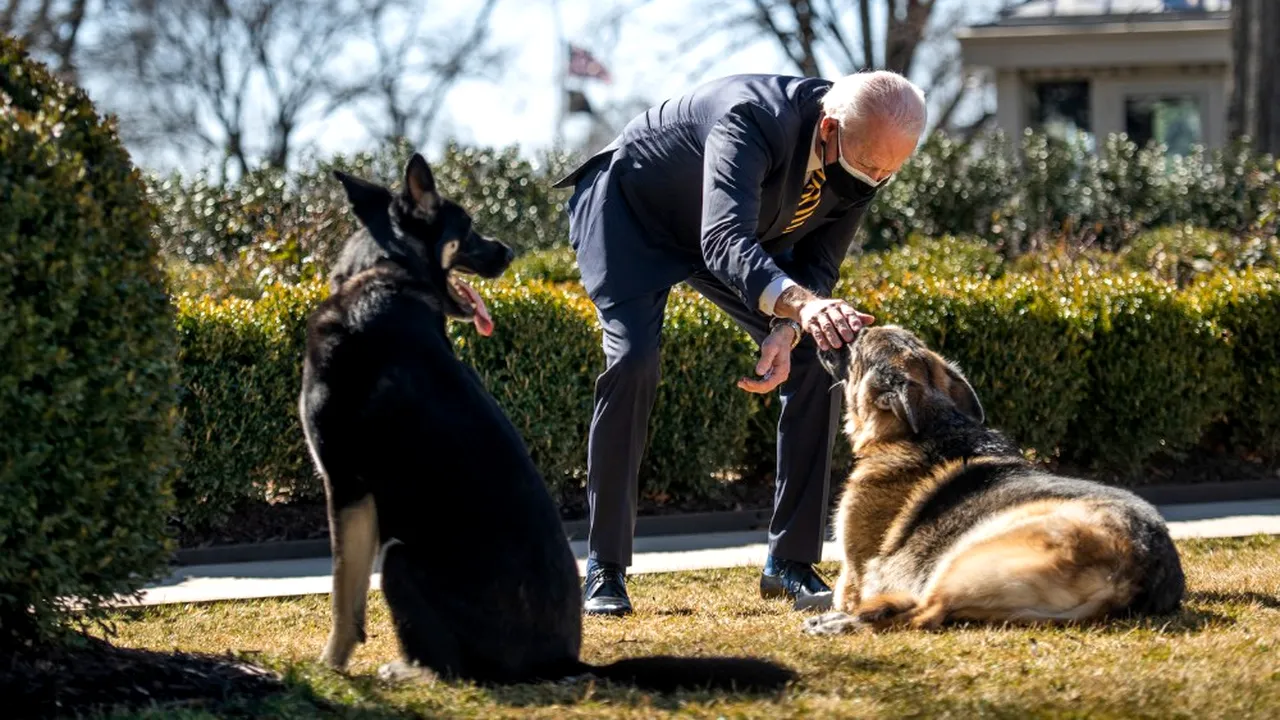 Tristeţe la Casa Albă. Unul din câinii lui Joe Biden, Champ, a murit