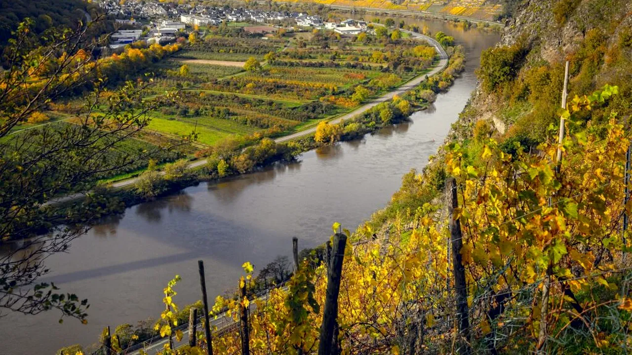 Ziua Prosecco. Cum a ajuns un vin apreciat de romani cunoscut în lume de abia în secolul XXI