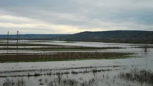 Cod galben de inundaţii pe mai multe râuri din vestul ţării