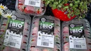 Pandemia a dublat piaţa produselor bio. Argumentul clienţilor: ”Sunt un pic mai scumpe, dar merită”