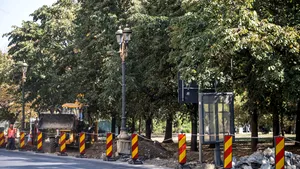 Proiect: Parcul Unirii din Capitală ar putea să se numească Parcul „Teoctist Patriarhul”
