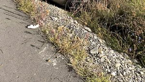 Grav accident rutier în județul Buzău. 7 persoane au ajuns la spital