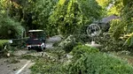 Pagube la Grădina Zoologică București. Primăria transmite că s-a decis închiderea temporară
