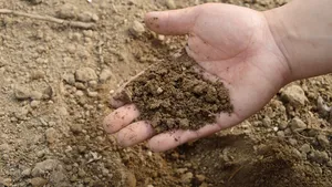 Legea care permite ca morţii să fie transformaţi în îngrăşământ. Iniţiatorii speră că pot înlocui cu succes înmormântările şi incinerările 