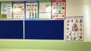 FOCUS. Instituţiile Lumina, în contextul arestărilor din Turcia: Au fost presiuni asupra profesorilor