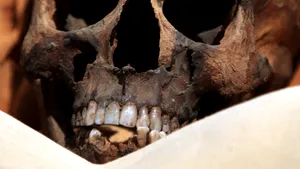 Un deget al faraonului Akhenaton a fost returnat Egiptului