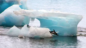 Record absolut de temperatură în Antarctica. Pentru prima dată în istorie s-au depăşit 20 de grade: temperatura înregistrată
