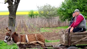 Băsescu, primarului din Deveselu: Te-a luat presa în tărbacă