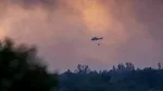 Incendiile de vegetație fac ravagii în Germania: doi pompieri au fost răniți, iar localnicii din zonele afectate, evacuați