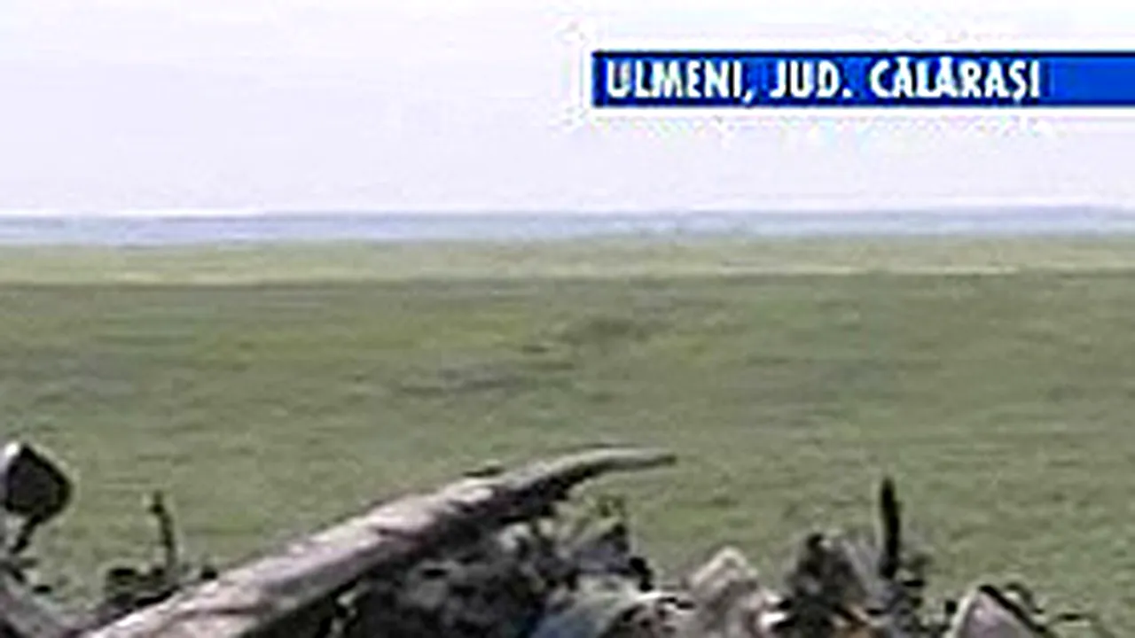 Un avion AN2, utilitar, s-a prăbuşit în Călăraşi