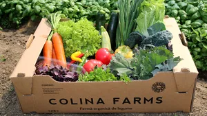 GALERIE FOTO Cluj: Fermă de legume organice pe 3,5 de hectare, produsele sunt livrate gratuit acasă