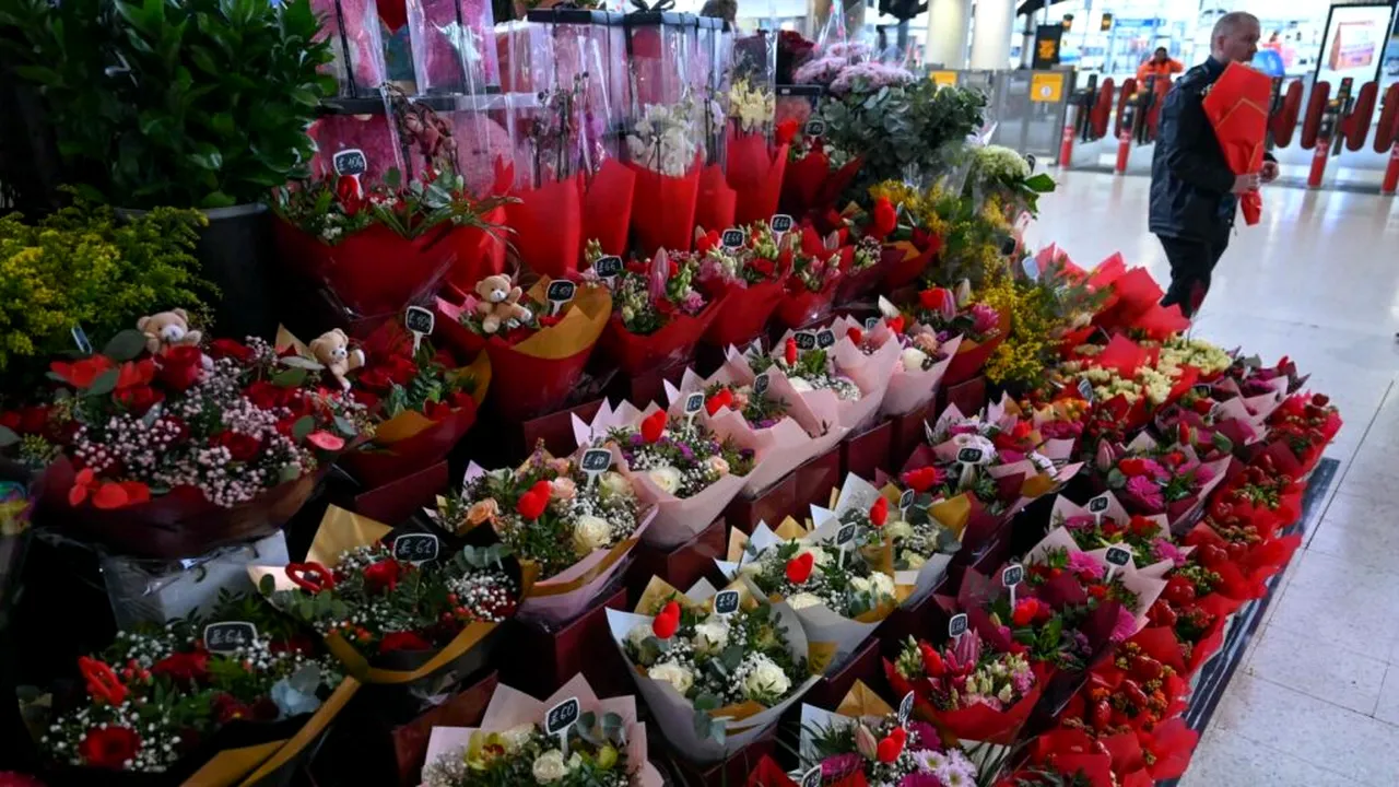 Trucul care a cucerit internetul: cum poți transforma un buchet de trandafiri cumpărat din supermarket într-o tufă de trandafiri