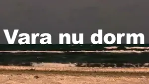 Care au fost cele mai căutate melodii pe Google în 2012. Pe ce loc s-a clasat 