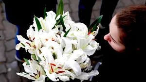 MESAJE DE 8 MARTIE 2019. SMS-uri cu urări de Ziua Femeii