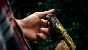 Un tânăr de 21 de ani din Arad, înarmat cu un topor, şi-a ameninţat mama cu moartea