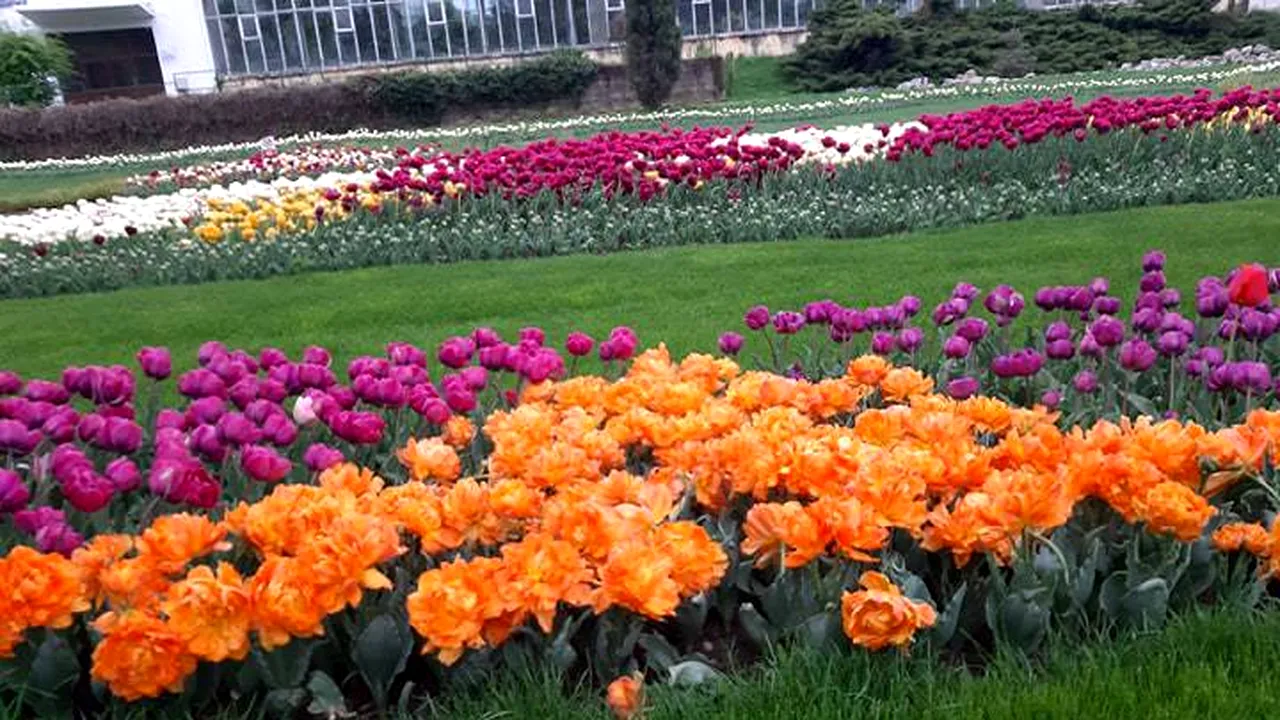 Decoraţiunile de Paşte de altădată, înlocuite la Craiova de „covoare de flori” | FOTO