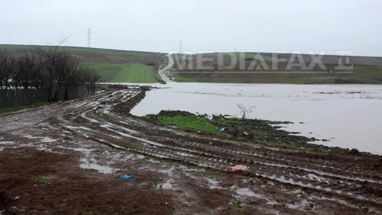Teleorman: 195 de gospodării şi peste 500 de hectare de terenuri inundate 