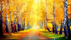 PROGNOZA METEO  pentru marţi şi miercuri | Vreme caldă în toată ţara. Pâna la ce temperaturi urcă maximele