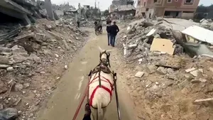 Pe străzile din Gaza, cu o căruţă trasă de un măgar: războiul a transformat totul în moloz

