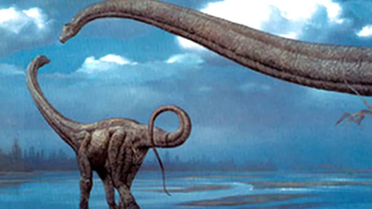 Primele urme de dinozauri din Peninsula Arabică