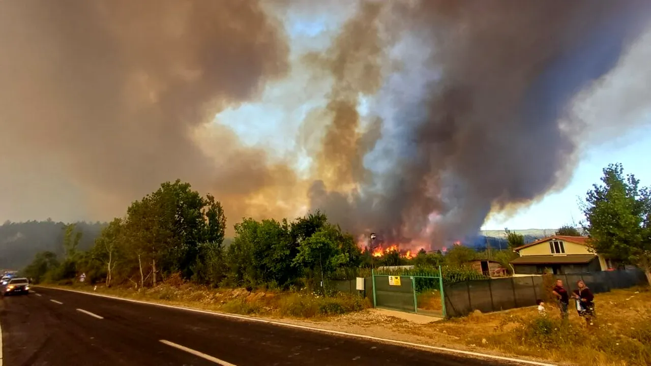 RAPORT OMM: Incendiile de vegetație alimentează poluarea aerului